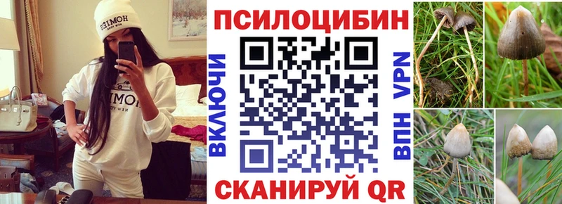 Галлюциногенные грибы Magic Shrooms Кологрив