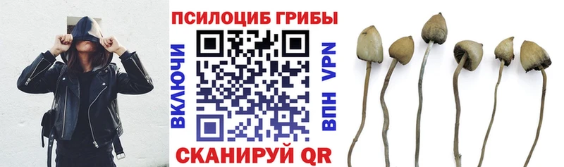 Псилоцибиновые грибы мухоморы  как найти закладки  Кологрив 